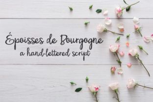 PN Époisses De Bourgogne: A Handwritten Script Font for Branding That Feels Warm and Real