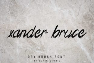 Xander Bruce Font: A Playful Brush Script for Branding Projects